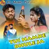 About Tui Hamke Bhule Ja Song